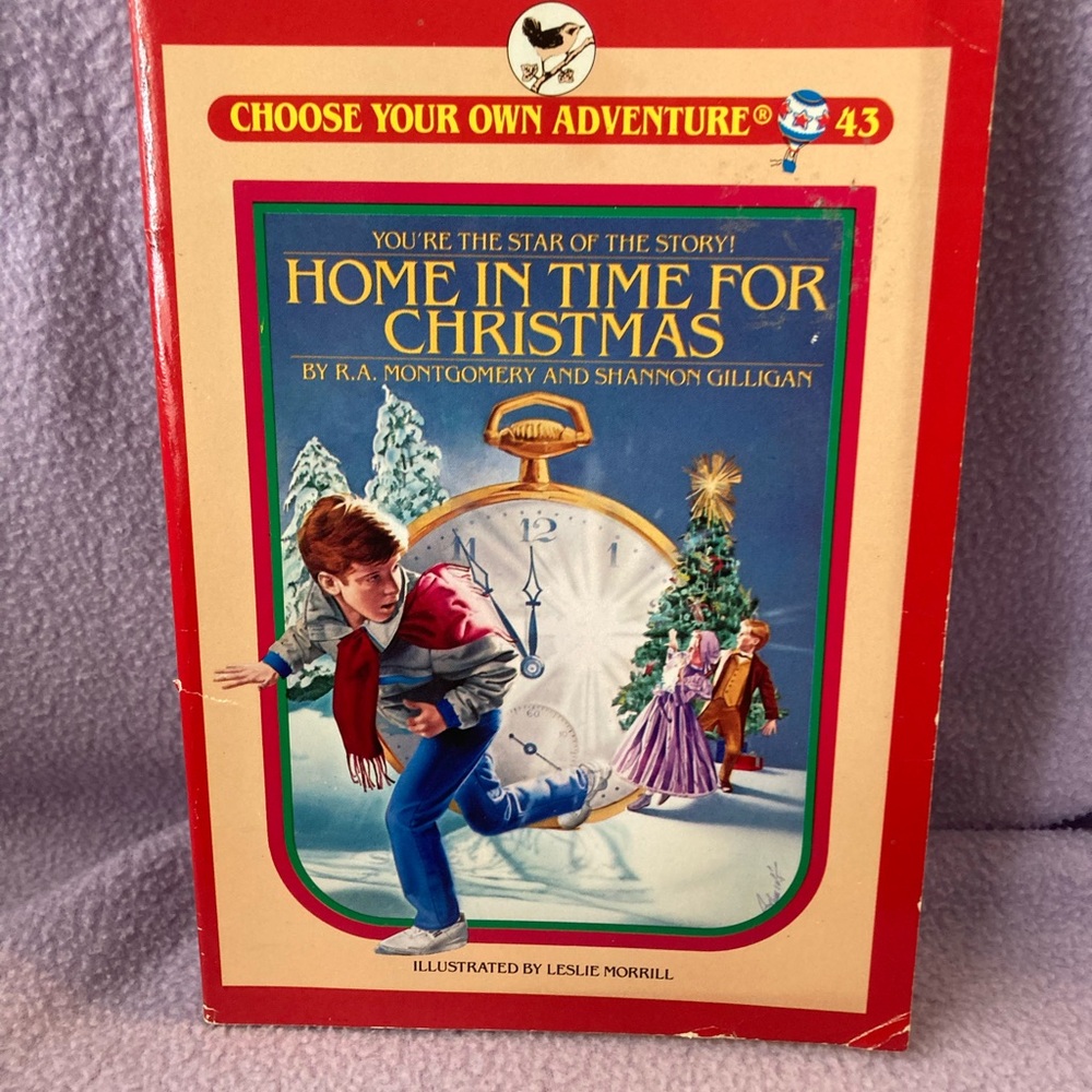 Children’s Books Choose Your Own Adventure Chapter Books as pictured